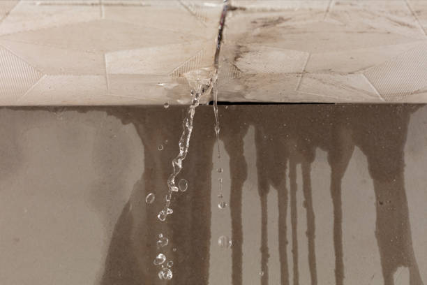 Professional Burst Pipe Cleanup technician working in Danbury, CT
